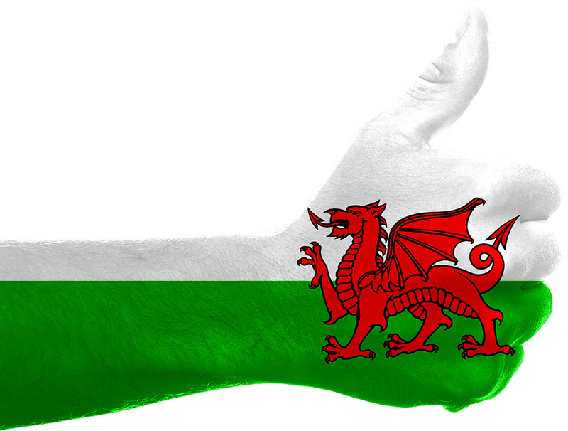 Leon From Wales To Australia